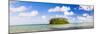 Tropical Island of Motu Taakoka Covered in Palm Trees in Muri Lagoon, Cook Islands, Pacific-Matthew Williams-Ellis-Mounted Photographic Print