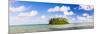 Tropical Island of Motu Taakoka Covered in Palm Trees in Muri Lagoon, Cook Islands, Pacific-Matthew Williams-Ellis-Mounted Photographic Print