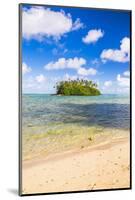 Tropical Island of Motu Taakoka Covered in Palm Trees in Muri Lagoon, Rarotonga, Cook Islands-Matthew Williams-Ellis-Mounted Photographic Print
