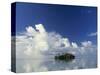 Tropical Island, Raratonga, Cook Islands-Peter Adams-Stretched Canvas