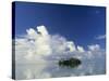 Tropical Island, Raratonga, Cook Islands-Peter Adams-Stretched Canvas