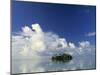 Tropical Island, Raratonga, Cook Islands-Peter Adams-Mounted Photographic Print