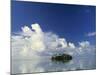 Tropical Island, Raratonga, Cook Islands-Peter Adams-Mounted Photographic Print