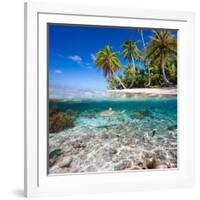 Tropical Island under and Above Water-Blueorangestudio-Framed Photographic Print