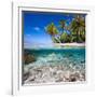 Tropical Island under and Above Water-Blueorangestudio-Framed Photographic Print