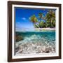 Tropical Island under and Above Water-Blueorangestudio-Framed Photographic Print