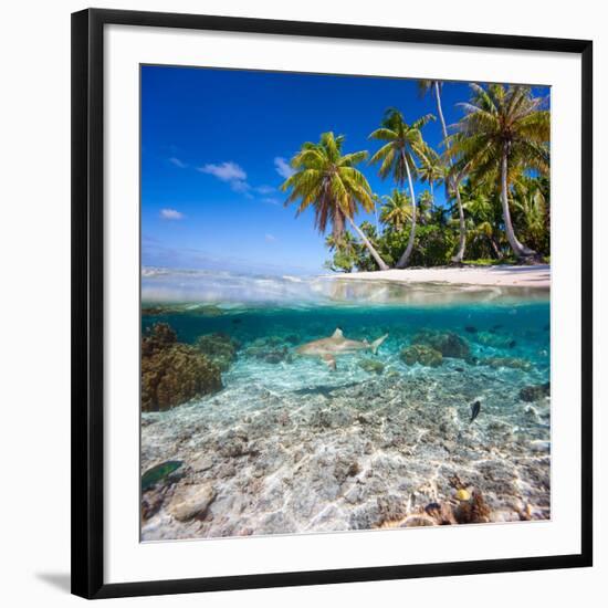 Tropical Island under and Above Water-Blueorangestudio-Framed Photographic Print