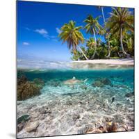 Tropical Island under and Above Water-Blueorangestudio-Mounted Photographic Print
