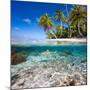 Tropical Island under and Above Water-Blueorangestudio-Mounted Photographic Print