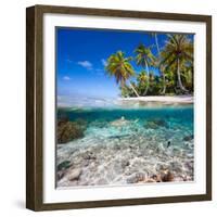 Tropical Island under and Above Water-Blueorangestudio-Framed Photographic Print