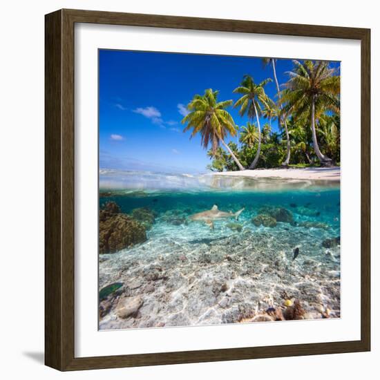 Tropical Island under and Above Water-Blueorangestudio-Framed Photographic Print