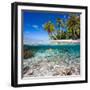 Tropical Island under and Above Water-Blueorangestudio-Framed Photographic Print