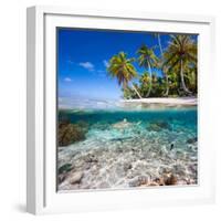 Tropical Island under and Above Water-Blueorangestudio-Framed Photographic Print