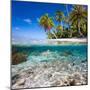 Tropical Island under and Above Water-Blueorangestudio-Mounted Photographic Print