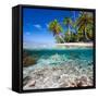 Tropical Island under and Above Water-Blueorangestudio-Framed Stretched Canvas