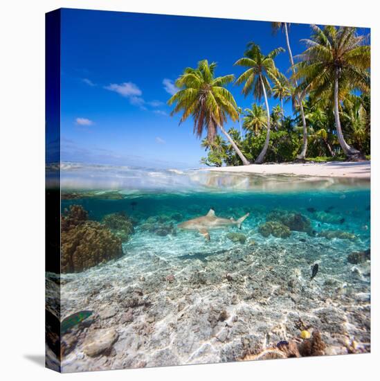 Tropical Island under and Above Water-Blueorangestudio-Stretched Canvas