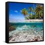 Tropical Island under and Above Water-Blueorangestudio-Framed Stretched Canvas