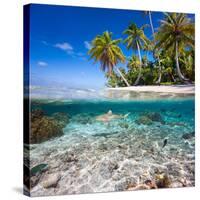 Tropical Island under and Above Water-Blueorangestudio-Stretched Canvas