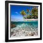 Tropical Island under and Above Water-Blueorangestudio-Framed Premium Photographic Print