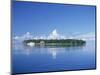 Tropical Island with Palm Trees, Surrounded by the Sea in the Maldive Islands, Indian Ocean-Tovy Adina-Mounted Photographic Print