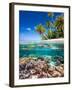 Tropical Island-Blueorangestudio-Framed Photographic Print