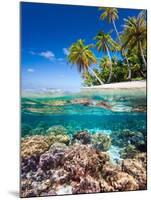 Tropical Island-Blueorangestudio-Mounted Photographic Print