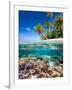 Tropical Island-Blueorangestudio-Framed Photographic Print
