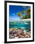 Tropical Island-Blueorangestudio-Framed Photographic Print