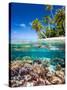 Tropical Island-Blueorangestudio-Stretched Canvas