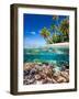 Tropical Island-Blueorangestudio-Framed Photographic Print