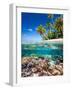 Tropical Island-Blueorangestudio-Framed Photographic Print