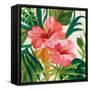 Tropical Jewels II v2 Pink Crop-Silvia Vassileva-Framed Stretched Canvas