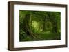 Tropical Jungle in Southeast Asia-Quick Shot-Framed Photographic Print