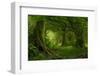 Tropical Jungle in Southeast Asia-Quick Shot-Framed Photographic Print