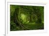 Tropical Jungle in Southeast Asia-Quick Shot-Framed Photographic Print