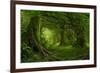 Tropical Jungle in Southeast Asia-Quick Shot-Framed Photographic Print