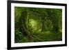 Tropical Jungle in Southeast Asia-Quick Shot-Framed Photographic Print