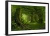 Tropical Jungle in Southeast Asia-Quick Shot-Framed Photographic Print