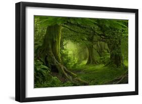 Tropical Jungle in Southeast Asia-Quick Shot-Framed Photographic Print