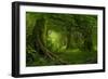 Tropical Jungle in Southeast Asia-Quick Shot-Framed Photographic Print