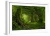 Tropical Jungle in Southeast Asia-Quick Shot-Framed Photographic Print