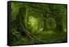 Tropical Jungle in Southeast Asia-Quick Shot-Framed Stretched Canvas