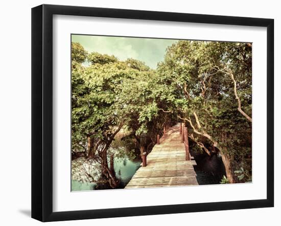 Tropical Jungle Landscape with Wooden Bridge at Flooded Rain Forest of Mangrove Trees. Cambodia-Im Perfect Lazybones-Framed Photographic Print