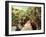 Tropical Jungle Landscape with Wooden Bridge at Flooded Rain Forest of Mangrove Trees. Cambodia-Im Perfect Lazybones-Framed Photographic Print