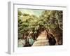 Tropical Jungle Landscape with Wooden Bridge at Flooded Rain Forest of Mangrove Trees. Cambodia-Im Perfect Lazybones-Framed Photographic Print