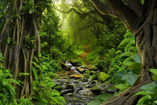 Photographic Print, , large