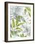 Tropical Jungle-Sandra Jacobs-Framed Giclee Print