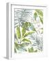 Tropical Jungle-Sandra Jacobs-Framed Giclee Print