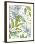 Tropical Jungle-Sandra Jacobs-Framed Giclee Print