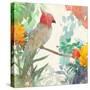 Tropical King II-Ken Roko-Stretched Canvas